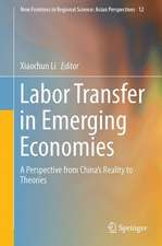 Labor Transfer in Emerging Economies: A Perspective from China’s Reality to Theories