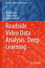 Roadside Video Data Analysis: Deep Learning