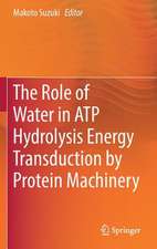 The Role of Water in ATP Hydrolysis Energy Transduction by Protein Machinery