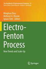 Electro-Fenton Process: New Trends and Scale-Up