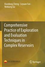 Comprehensive Practice of Exploration and Evaluation Techniques in Complex Reservoirs