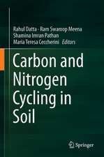 Carbon and Nitrogen Cycling in Soil