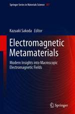 Electromagnetic Metamaterials: Modern Insights into Macroscopic Electromagnetic Fields