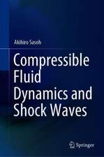 Compressible Fluid Dynamics and Shock Waves