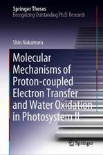 Molecular Mechanisms of Proton-coupled Electron Transfer and Water Oxidation in Photosystem II