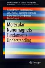 Molecular Nanomagnets: Fundamental Understanding