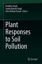 Plant Responses to Soil Pollution