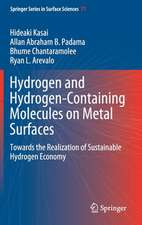 Hydrogen and Hydrogen-Containing Molecules on Metal Surfaces: Towards the Realization of Sustainable Hydrogen Economy