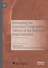 Reshaping the Economic Cooperation Pattern of the Belt and Road Initiative