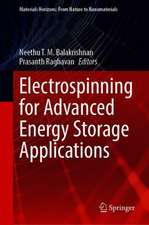 Electrospinning for Advanced Energy Storage Applications