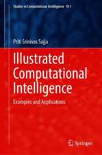 Illustrated Computational Intelligence: Examples and Applications