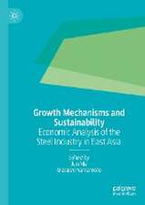 Growth Mechanisms and Sustainability: Economic Analysis of the Steel Industry in East Asia