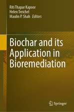 Biochar and its Application in Bioremediation