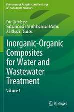 Inorganic-Organic Composites for Water and Wastewater Treatment