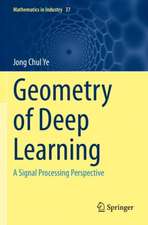 Geometry of Deep Learning: A Signal Processing Perspective