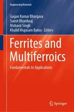 Ferrites and Multiferroics: Fundamentals to Applications