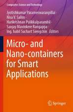 Micro- and Nano-containers for Smart Applications