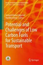 Potential and Challenges of Low Carbon Fuels for Sustainable Transport