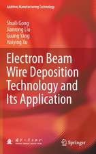 Electron Beam Wire Deposition Technology and Its Application