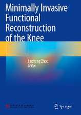 Minimally Invasive Functional Reconstruction of the Knee