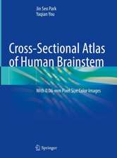 Cross-Sectional Atlas of Human Brainstem: With 0.06-mm Pixel Size Color Images