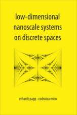 Low-Dimensional Nanoscale Systems on Discrete Spaces