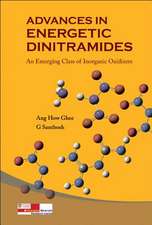 Advances in Energetic Dinitramides