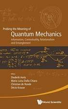 PROBING THE MEANING OF QUANTUM MECHANICS