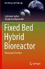 Fixed Bed Hybrid Bioreactor: Theory and Practice