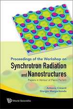 Synchrotron Radiation and Nanostructures: Papers in Honour of Paolo Perfetti