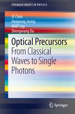 Optical Precursors