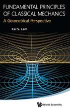 Fundamental Principles of Classical Mechanics: A Geometrical Perspective