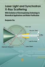 Laser Light and Synchrotron X-Ray Scattering: With Evolution of Electrospinning Technology in Biomedical and Water Purification