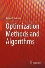 Optimization Methods and Algorithms