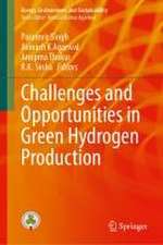 Challenges and Opportunities in Green Hydrogen Production