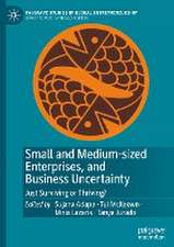 Small and Medium-sized Enterprises, and Business Uncertainty: Just Surviving or Thriving?