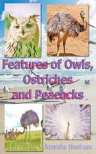 Features of Owls, Ostriches and Peacocks