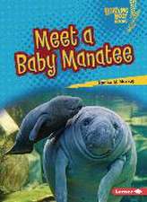 Meet a Baby Manatee