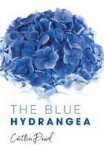 The Blue Hydrangea