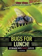 Bugs for Lunch!