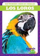 Los Loros (Parrots)