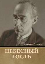 Небесный гость