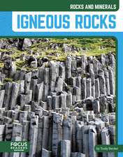 Igneous Rocks