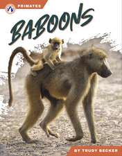 Baboons