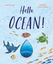 Hello, Ocean!