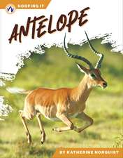 Antelope