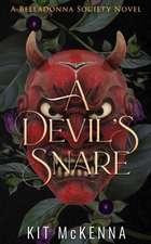 A Devil's Snare - an opposites attract love triangle rescue steamy suspenseful romance